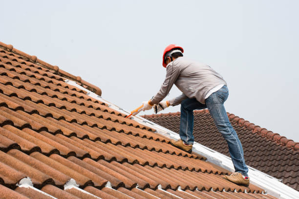 Roof Insulation in Milliken, CO