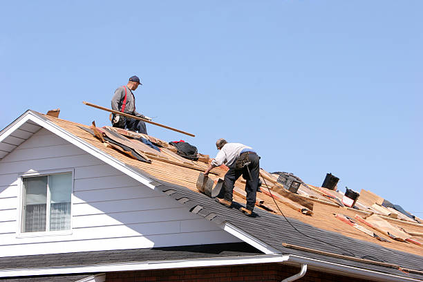 Best Skylight Installation and Repair  in Milliken, CO